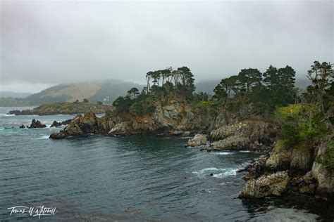 Blue Fish Cove Point Lobos California Tomas W Mitchell