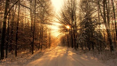 Download Wallpaper 1600x900 Road Wood Winter Snow Trees Sunlight