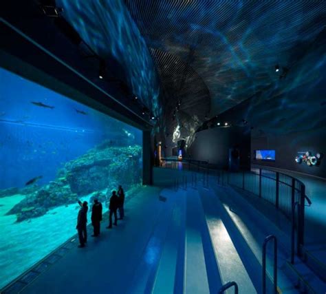 Copenhagens Blue Planet Aquarium Immerses Its Visitors In The World Of