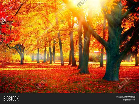 Autumn Fall Scene Beautiful Image And Photo Bigstock