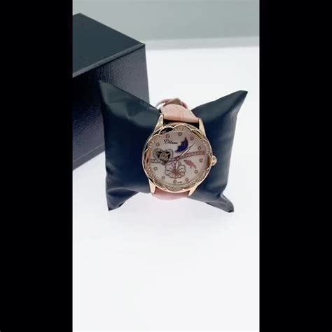 Dulunwe Top Nd Women Mechanical Watches Leather Wrist Watch Luxury