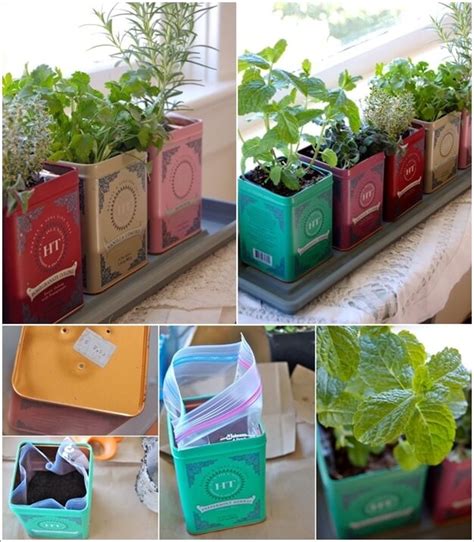 14 Diy Mini Herb Garden To Instantly Draw Your Attention