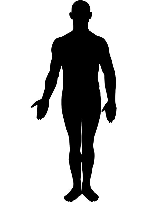 Svg Human Body Free Svg Image And Icon Svg Silh