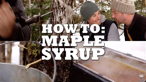 How To Make Maple Syrup Youtube
