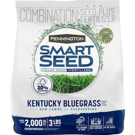 Pennington Smart Seed Kentucky Bluegrass 3 Lb 2000 Sq Ft Grass Seed