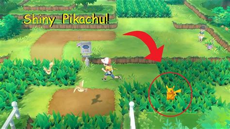 Pokemon Lets Go Shiny Pikachu Live Reaction Youtube