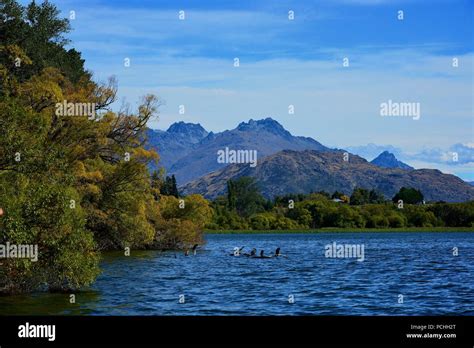 Queenstown South Island New Zealand Landscape Stock Photo Alamy