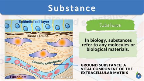 Substance Definition And Examples Biology Online Dictionary