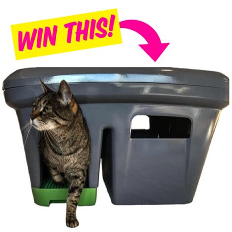 The Grate Litter Box Modern Cat Modern Cat Pet Giveaways For Pet