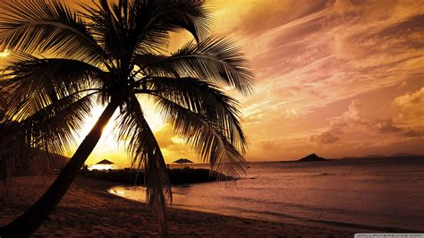 Tropical Beach Sunset Ultra Hd Desktop Background