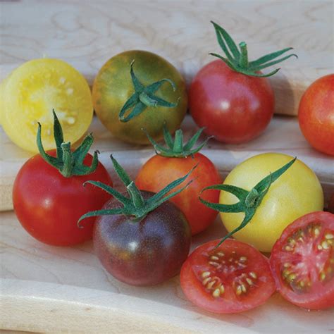 Heirloom Cherry Blend Tomato Heirloom Tomato Seeds Totally Tomatoes