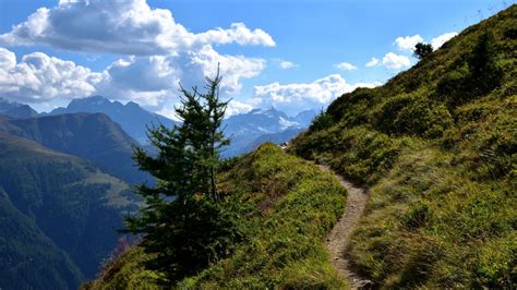 Free Images Landscape Tree Nature Wilderness Walking Sky Hiking