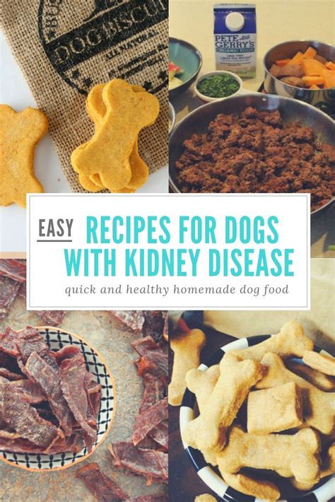 Just like humans, kidneys are the most important organs of a dog's body. Homemade Kidney Disease Diet For Dogs - kidausx