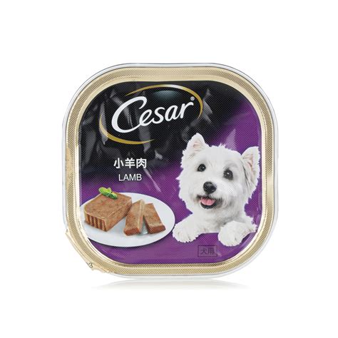 Is cesar dog food good for dogs and is cesar dog food healthy? Cesar lamb dog food 100g - Spinneys UAE