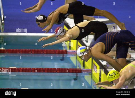 Female Swimmers Diving Into Swimming Pool During The Swimming World