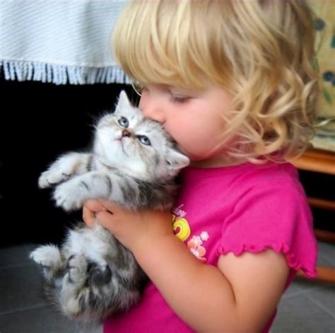 Funny Kittens With Babies Information And Latest Pictures Funny And Cute Animals
