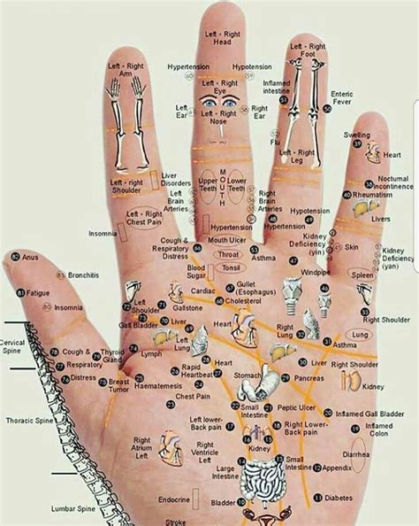 Pin By René Lantzsch On Gesundheit Hand Reflexology Reflexology Acupressure
