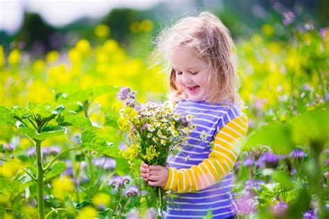 Little Girl Picking Wild Flowers In A Field Stock Image Image Of Farm