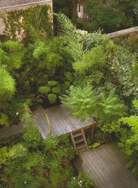 100 Jungle Gardens Ideas Jungle Gardens Tropical Garden Garden Design