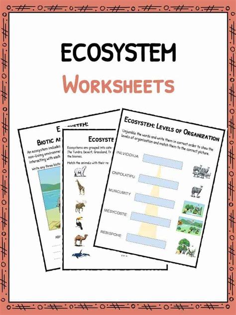 Th Grade Ecosystem Worksheet