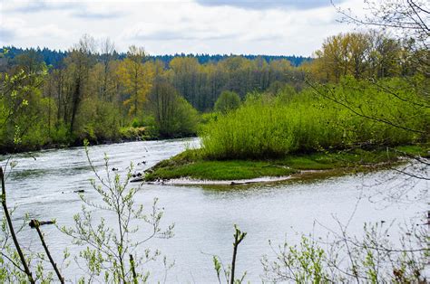 Nisqually River From The Nisqually National Wildlife Refuge Photograph