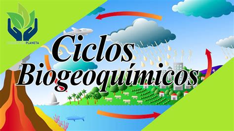 Ciclos Biogeoquímicos Explicación Fácil Y Ejemplos Youtube