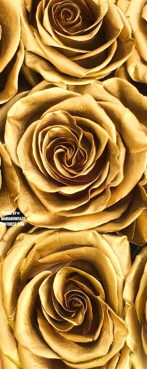 Discover 239 free aesthetic flower png images with transparent backgrounds. Gold Aesthetic | Gold aesthetic, Gold wallpaper iphone ...