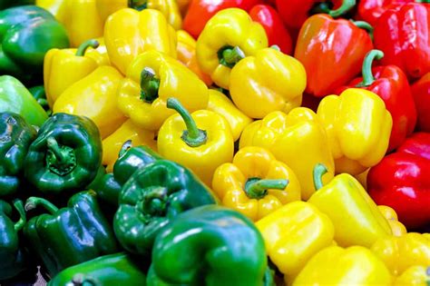 But do felines even need the popular fruit? Can Cats Eat Bell Peppers? A Veterinarian Answers.