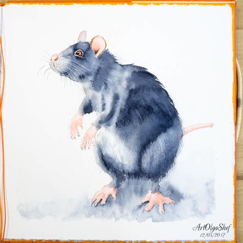 Watercolor Rats On Behance