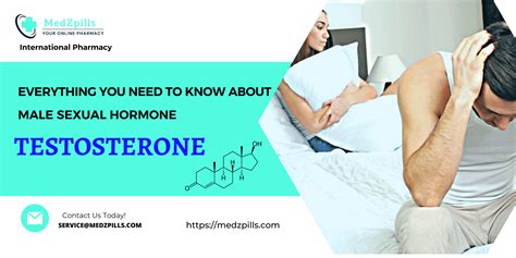 testosterone everything you need to know about male sexual hormone medzpills