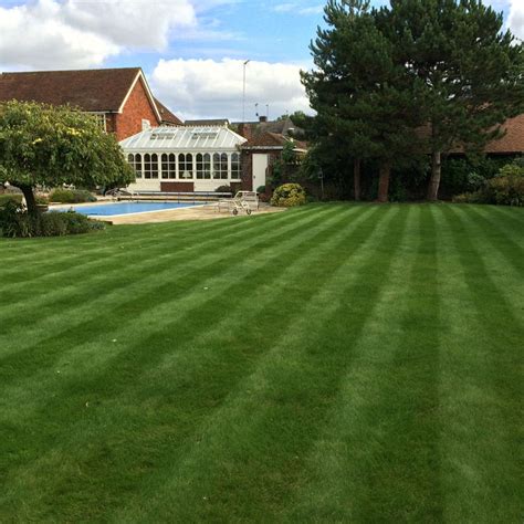 Professional Lawncare Services Trugreen South Bedfordshire Lawn