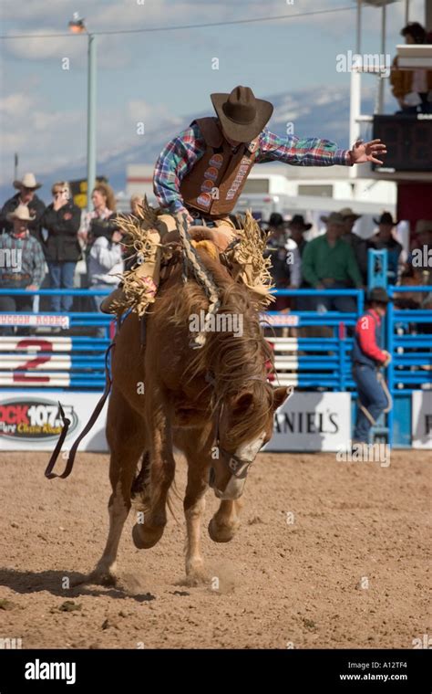 Rodeo Riders In Competition Stock Photo Alamy