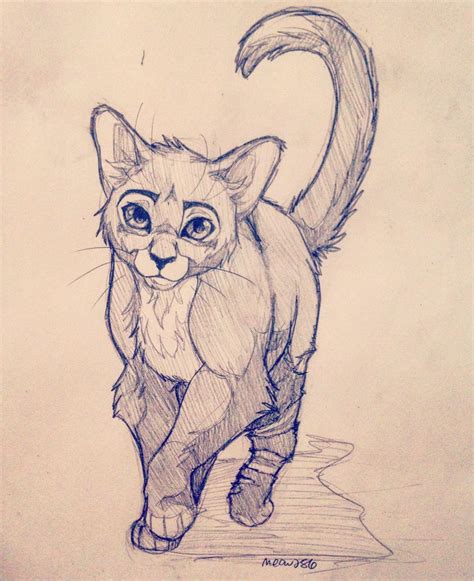 Warrior Cat Sketches At Explore Collection Of