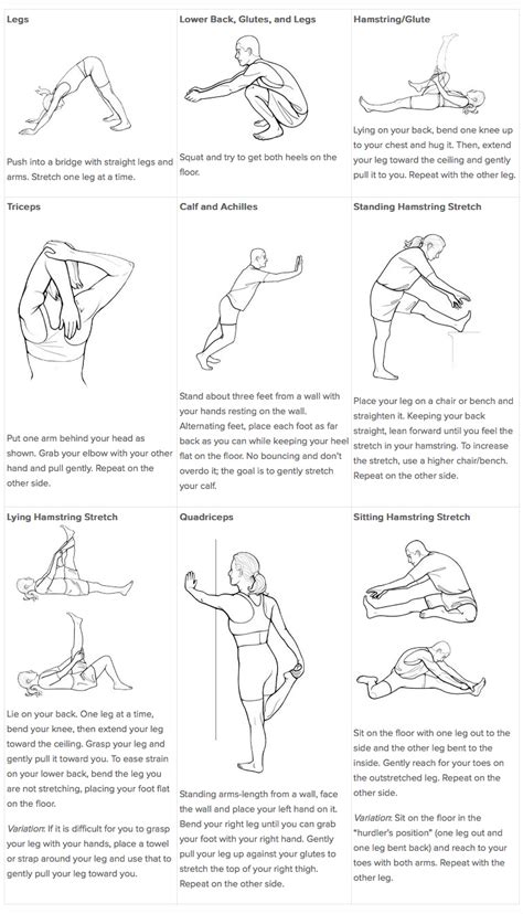 Your Workout Session Warm Up Cool Down And Stretching