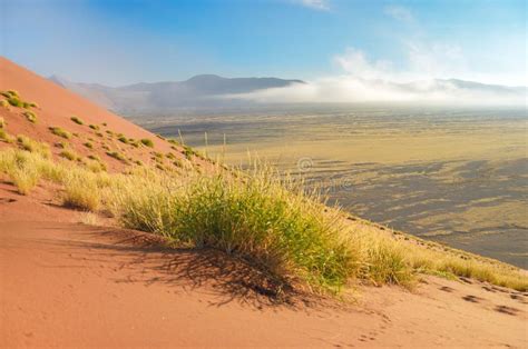 Beautiful Sunrise Dunes Of Namib Desert Africa Stock Photo Image Of