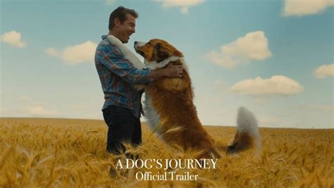 Rated pg • 108 minutes. A Dog's Journey | Cast, Budget, Box office | And ...