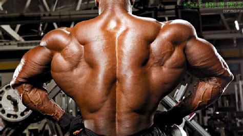 Deep Muscles Of The Back Erector Spinae • Bodybuilding Wizard