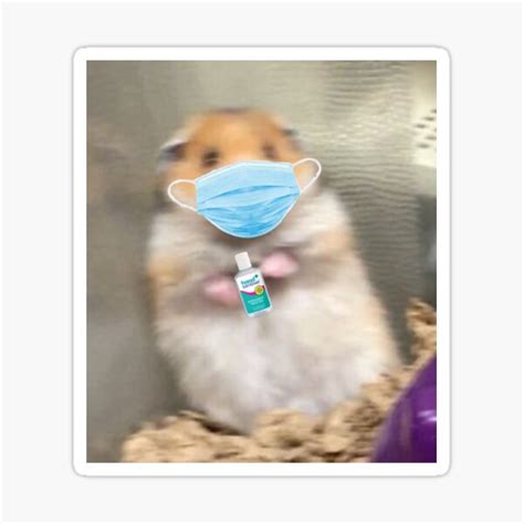 Sticker Angst Hamster Meme Redbubble