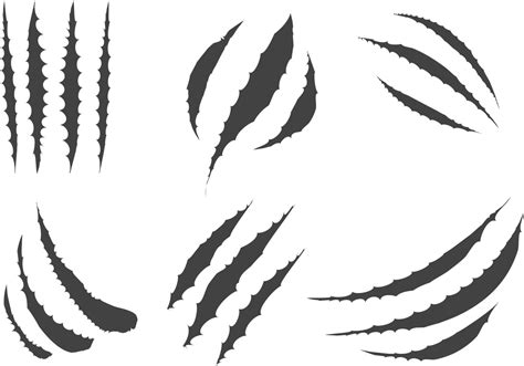 Tiger Scratch Vector Add A Fierce Touch To Your Designs