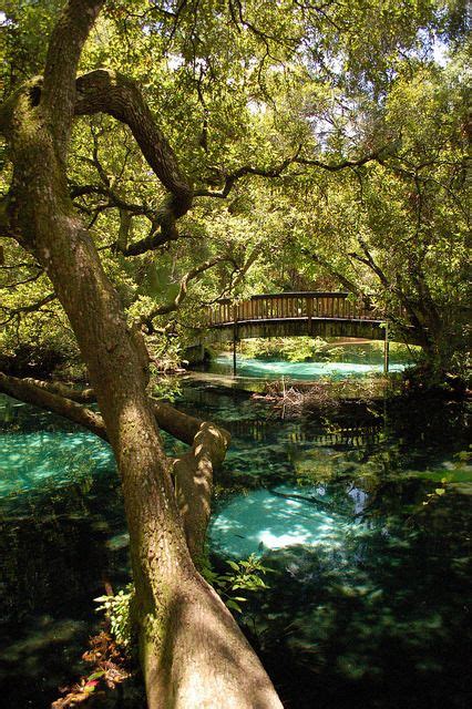 Fern Hammock Springs In North Central Florida Usa