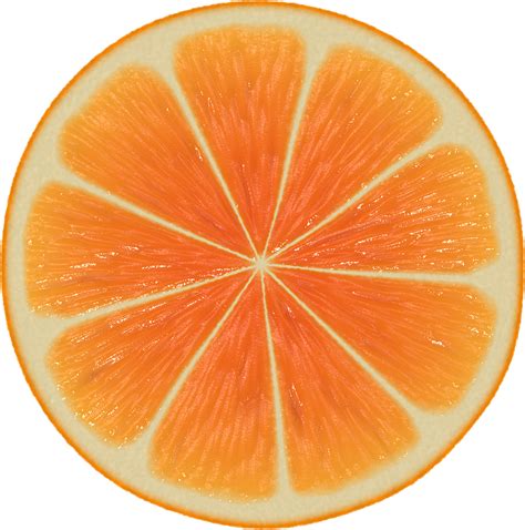 Perfect Orange Halved PNG Image Patterns In Nature Fruit Orange