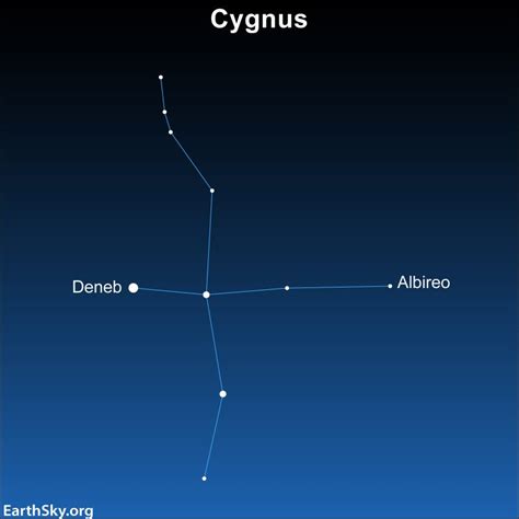 Cygnus The Swan Flies Along The Milky Way