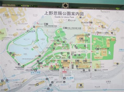 2020 top things to do in tokyo. Map of area at Ueno Station - 台東区、上野の写真 - トリップアドバイザー