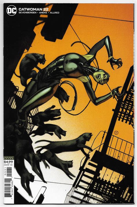349 Catwoman 22 Tedesco Variant Dc 2020 Nm Sold By Imagine That