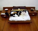 Photos of Ideas For Cat Beds