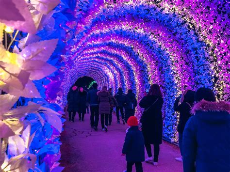 How To See The Garden Of Morning Calm Lighting Festival In Winter 2023