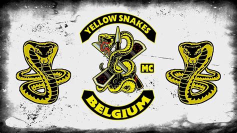 We use the bandidos mc altercation with the satudarah mc as a case in point. Yellow Snakes MC Belgium - Black & Yellow Party 2016 - YouTube