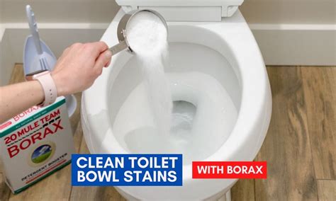 How To Clean Toilet Bowl Stains Quick And Easy Ways