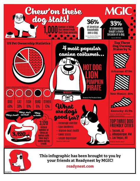 Dogs Evolution Infographic Best Infographics Dog Info