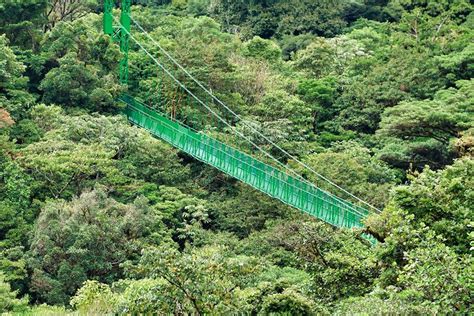 Monteverde Hanging Bridges Find My Costa Rica